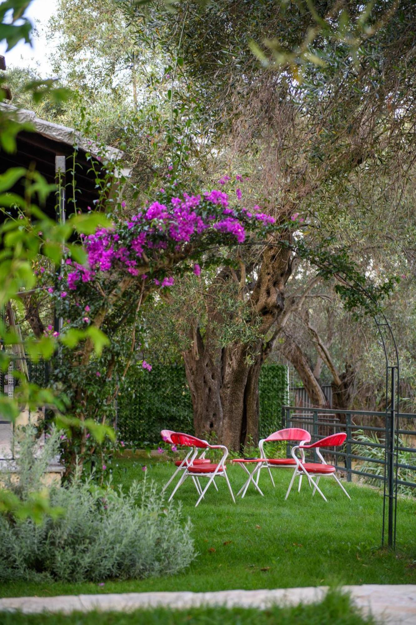 Hébergement de vacances Mon Reve House