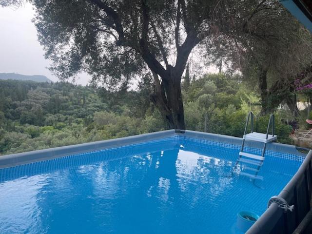 Mon Reve House *